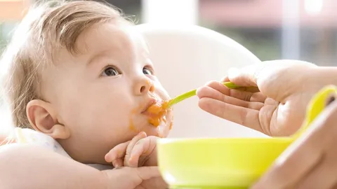 pasar a alimentación solida bebe 6 meses