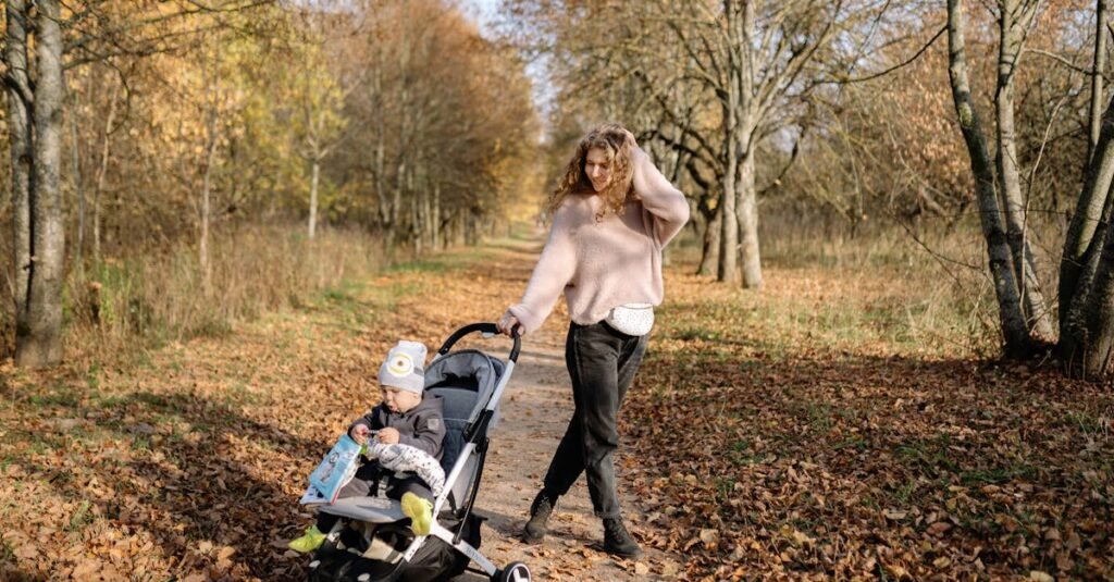como elegir el mejor carrito para mi